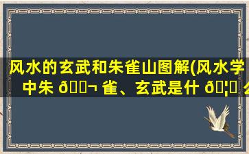 风水的玄武和朱雀山图解(风水学中朱 🐬 雀、玄武是什 🦆 么意思)